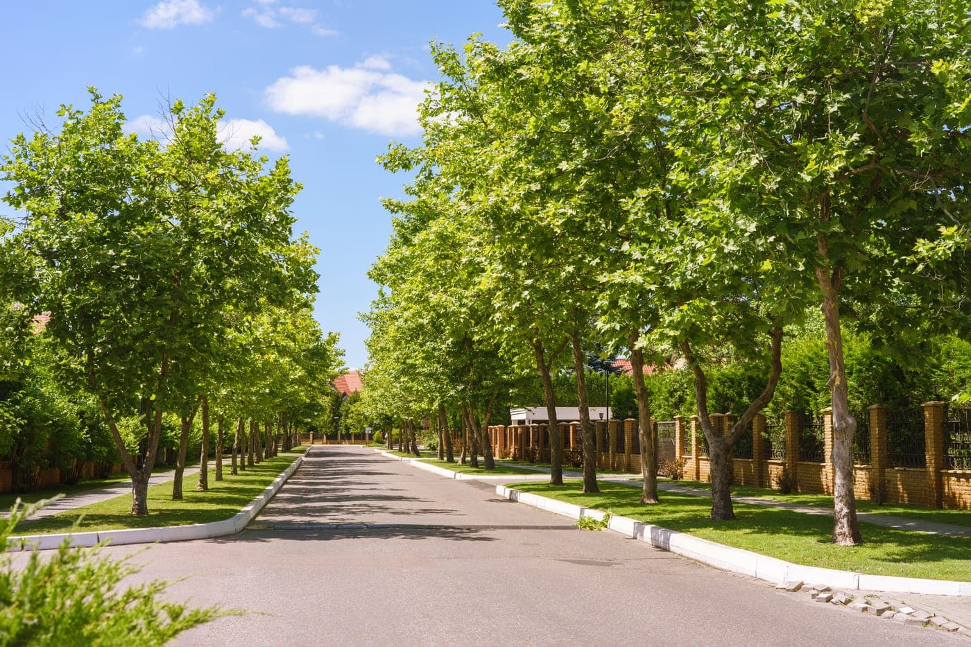 A tree-lined family neighborhood street in Seminole County, Florida.