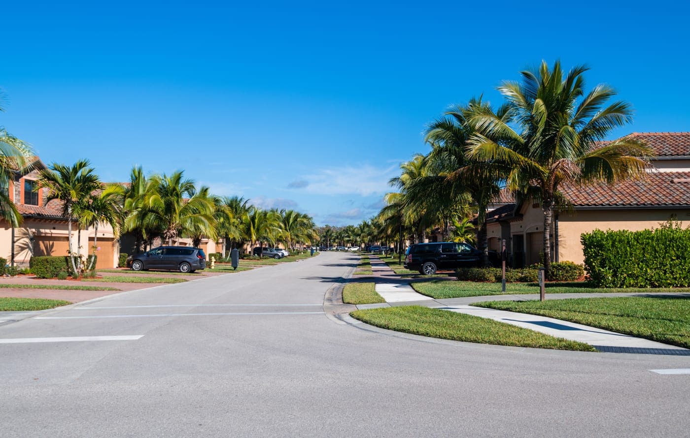 Palm trees and a sunny Central Florida neighborhood with a blue sky.